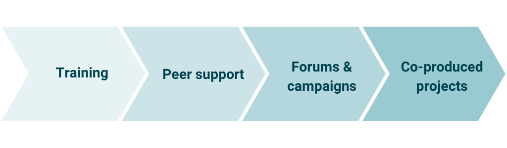 A flow chart showing the four stages of Action on Disability's Our Voice programme - training, peer support, forums & campaigns and co-produced projects.